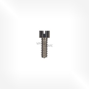 Alpina Cal. 584 - Bridge screw 5111