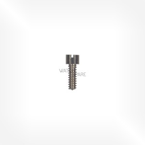 Alpina Cal. 592 - Bridge screw 5111