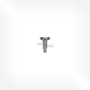 Bulova Cal. 214 - Center bridge screw 131