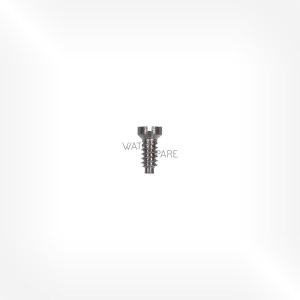 Bulova Cal. 2180 - Ratchet bridge screw 184