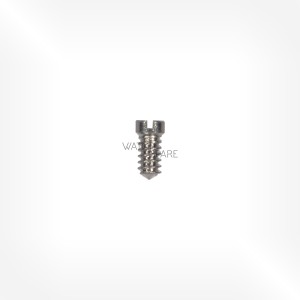 Bulova Cal. 2500 - Dial screw 90.000.01