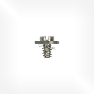 FHF Cal. 64 - Case screw, special 5102