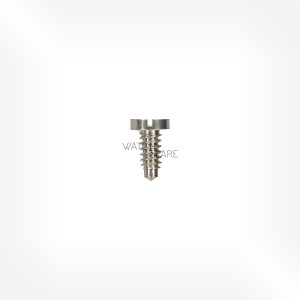 FHF Cal. 76-2 - Bridge screw 5105