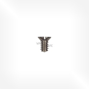 Mido Cal. 1014 - Screw for top balance-endpiece 5311