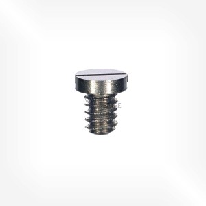 Omega Cal. 160 - Screw for pallet cock 2171
