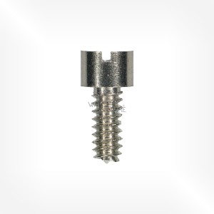 Universal Cal. 285 - Screw for chronograph bridge 58500