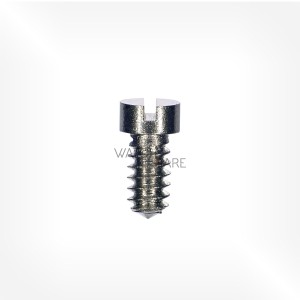 Valjoux Cal. 23 - Hairspring stud screw 5738