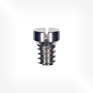Valjoux Cal. 72 - Screw for top balance-endpiece 5311