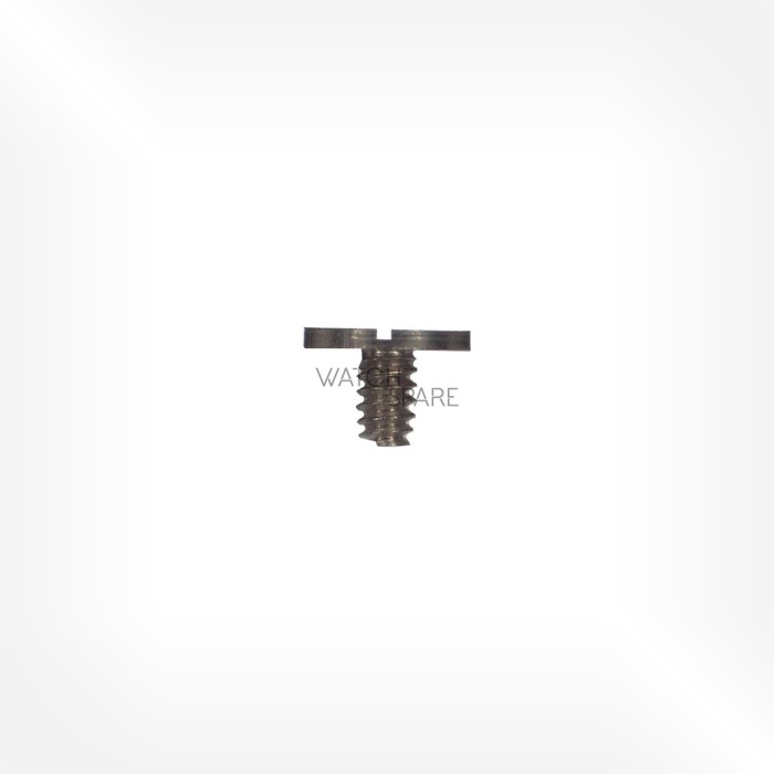 Alpina Cal. 584 - Case screw 5101