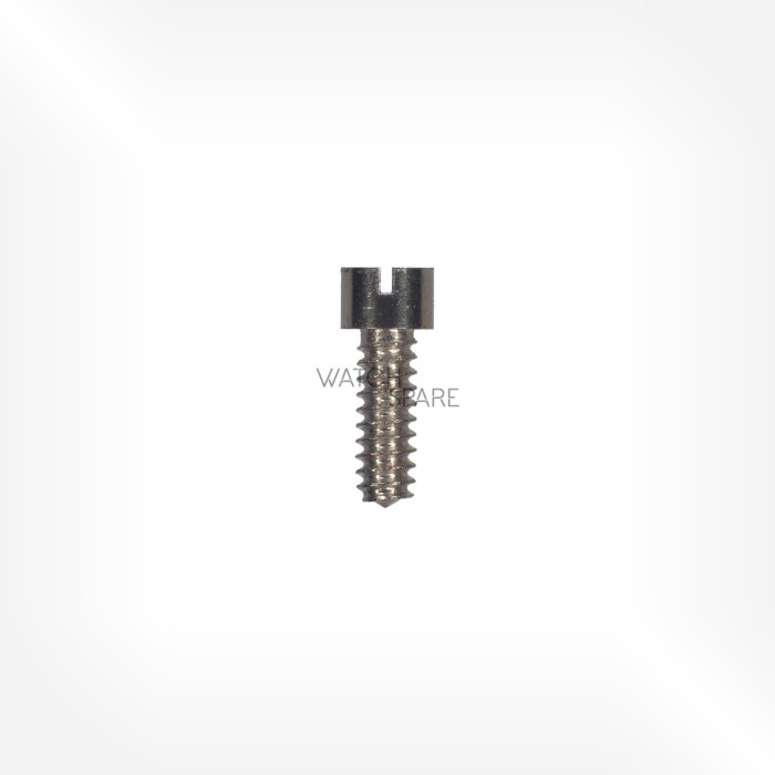 Alpina Cal. 584 - Bridge screw 5111