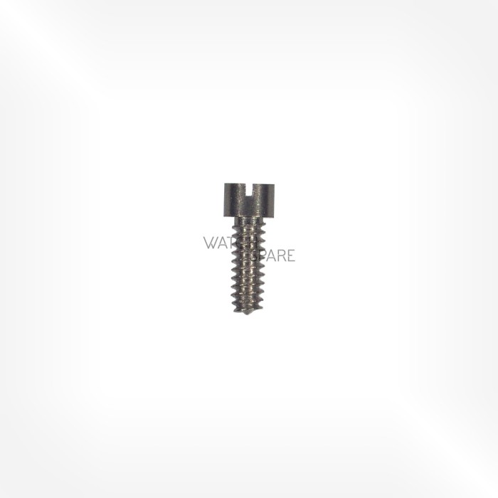 Alpina Cal. 586 - Bridge screw 5111