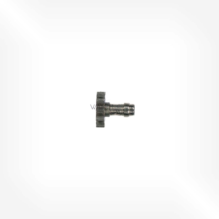 AS Cal. 1130 - Cannon pinion 240