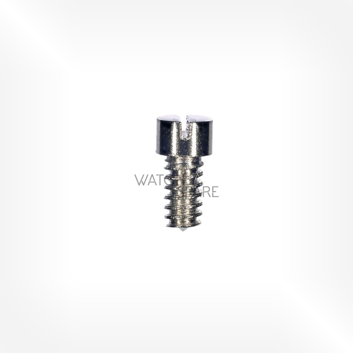 AS Cal. 1876 - Screw for bridge 5105