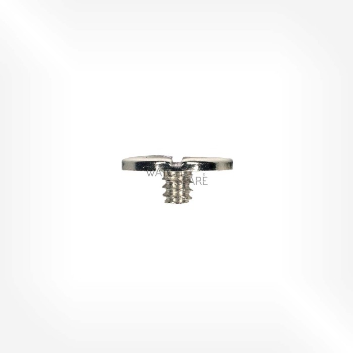 AS Cal. 976 - Screw for crown wheel 5420