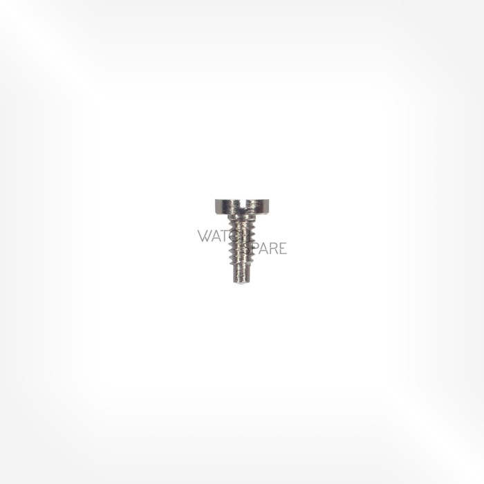 Bulova Cal. 214 - Center bridge screw 131