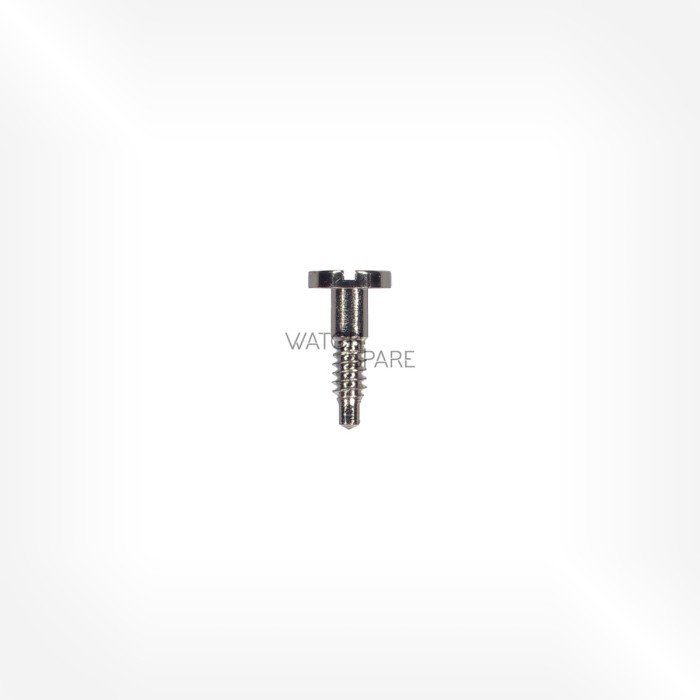 Bulova Cal. 2300 - Battery clamp retaining screw 304