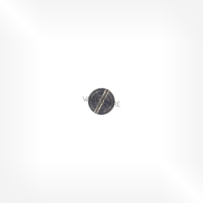 Bulova Cal. 2453 - Long circuit board screw 10.513.02
