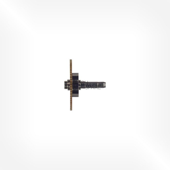 Bulova Cal. 2462 - Center wheel 30.015