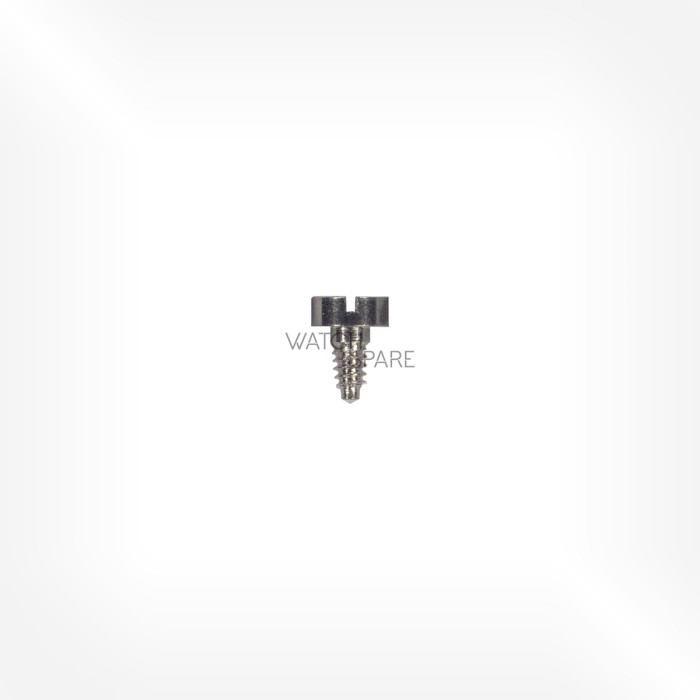 Bulova Cal. 2500 - Battery positive terminal screw 20.761.01