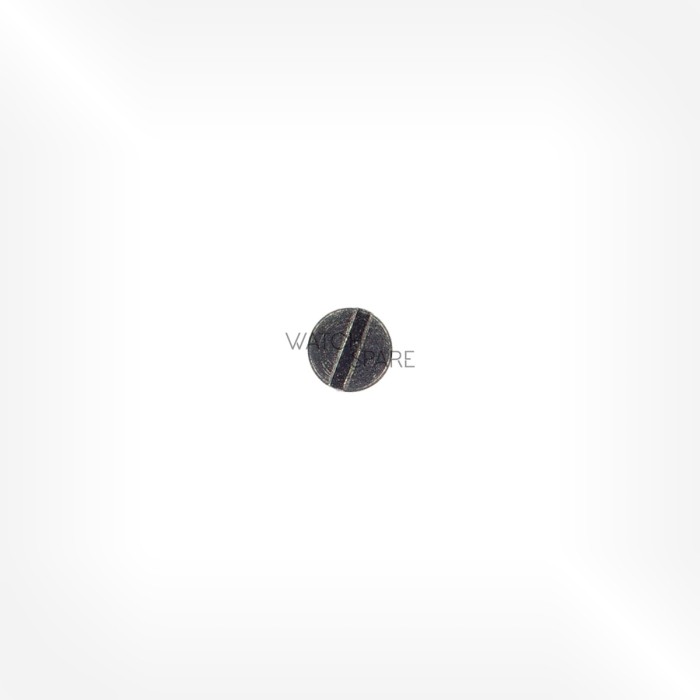 Bulova Cal. 2500 - Bridge screw 51.090.01