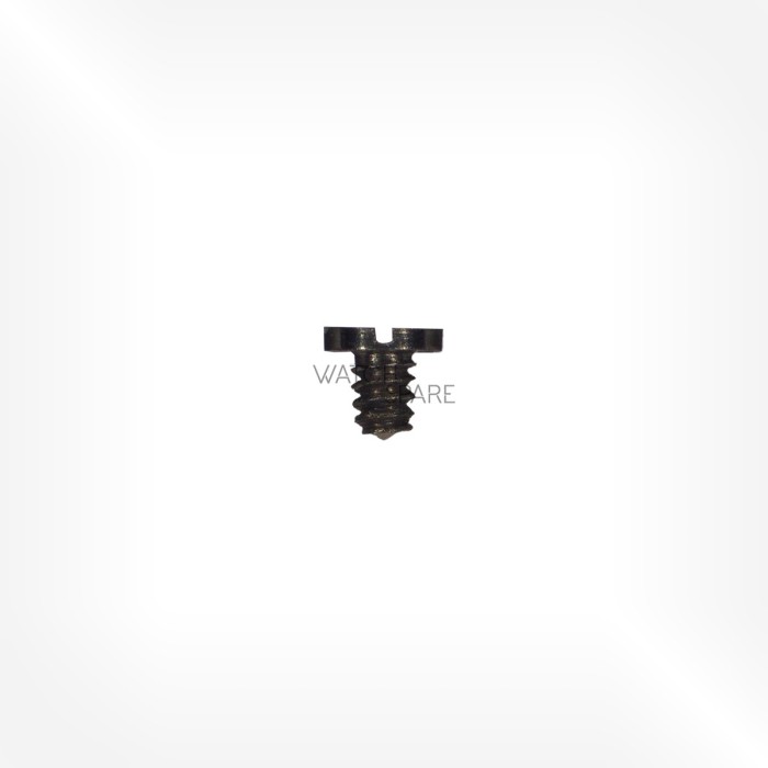 Tissot Cal. 28.5R-621 - Lower end-piece screw for balance 281103R