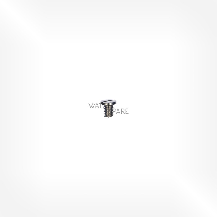ETA Cal. 2390 - Screw for pallet bridge 5125