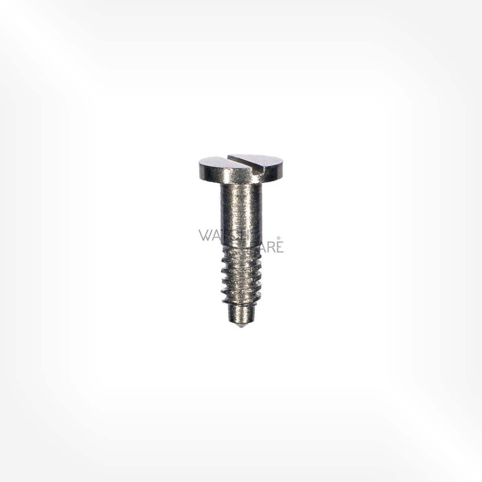 ETA Cal. 2412 - Screw for bridge 5121