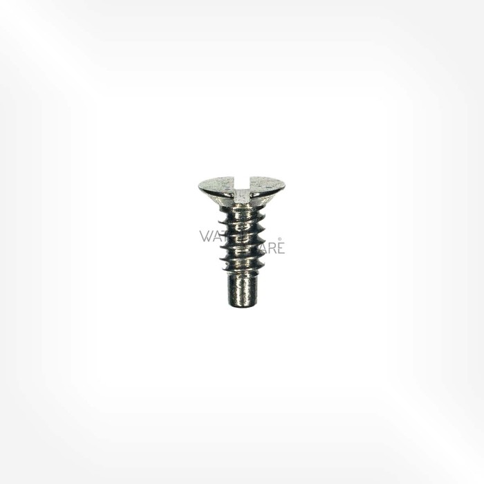 ETA Cal. 2512 - Screw for ratchet wheel 5415