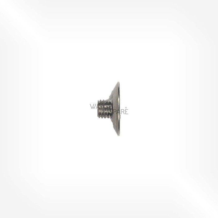 ETA Cal. 2520 - Screw for bearing wheel, for oscillating weight 51498