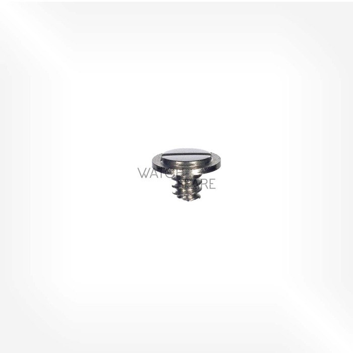ETA Cal. 2522 - Case screw special 5102