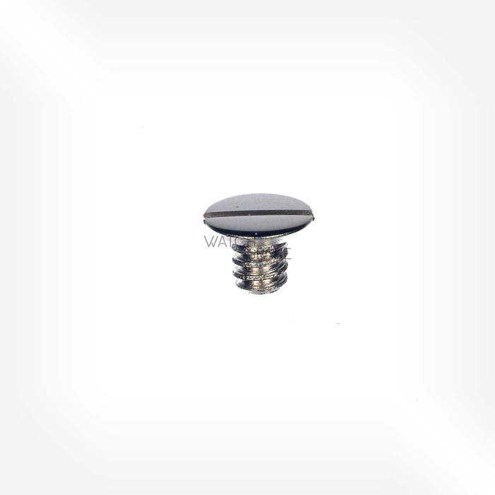 ETA Cal. 2538 - Screw for case 5101