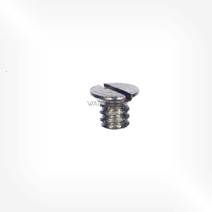 ETA Cal. 2538 - Screw for top balance-endpiece 5311