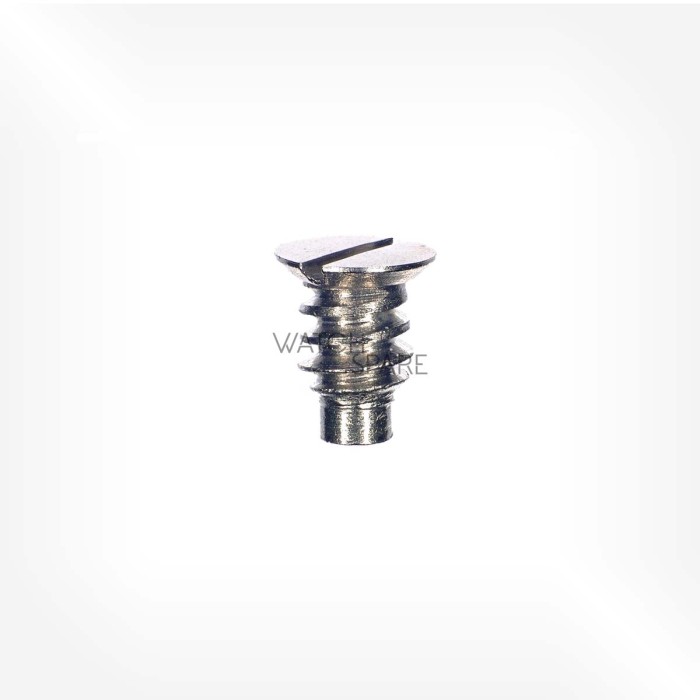 ETA Cal. 2538 - Screw for ratchet wheel 5415