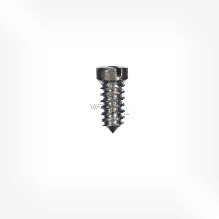 ETA Cal. 2538 - Screw for dial 5750