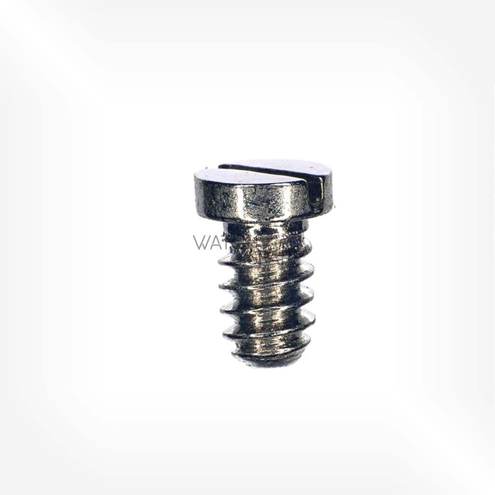 ETA Cal. 2540 - Screw for pallet bridge 5125