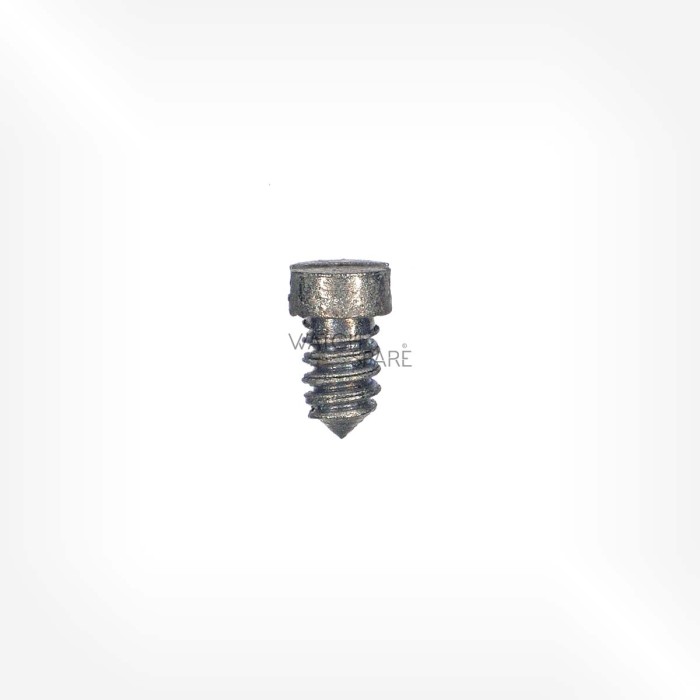 ETA Cal. 2540 - Screw for stud 5738