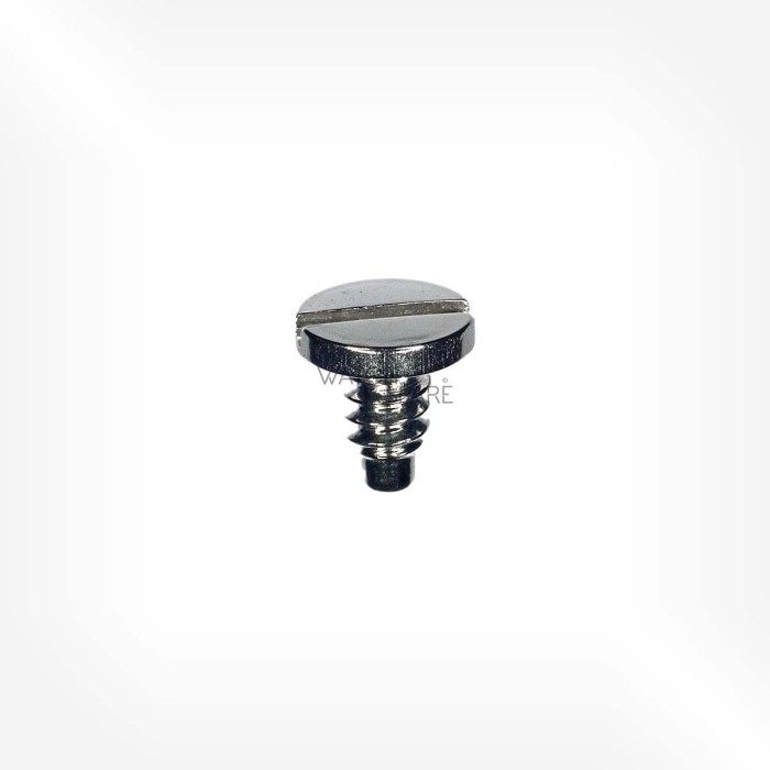 ETA Cal. 2550 - Screw for automatic device framework 51134
