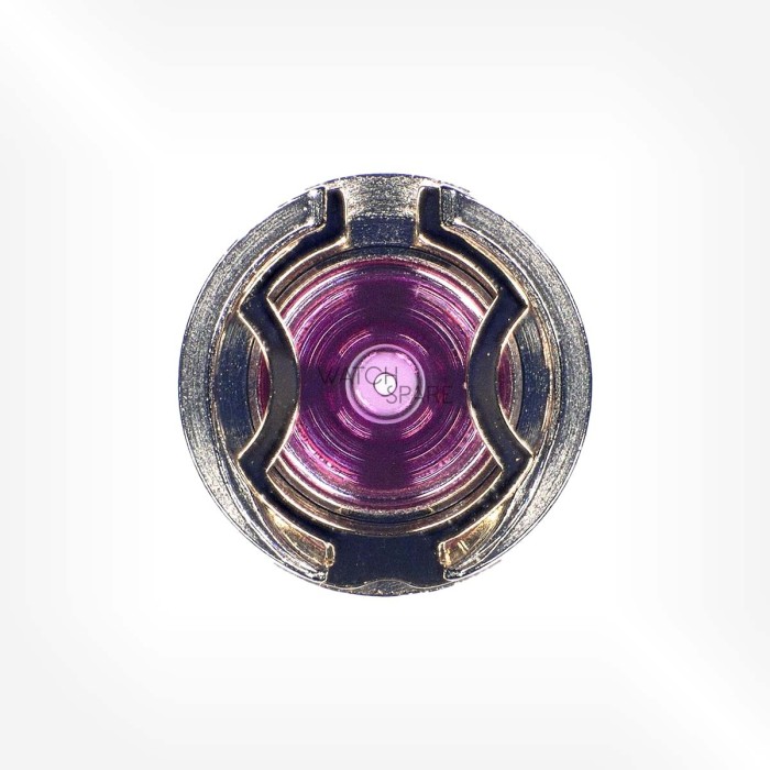 ETA Cal. 2890 - Jewelled shock-absorber,for balance, shouldered, to press in, top INCABLOC