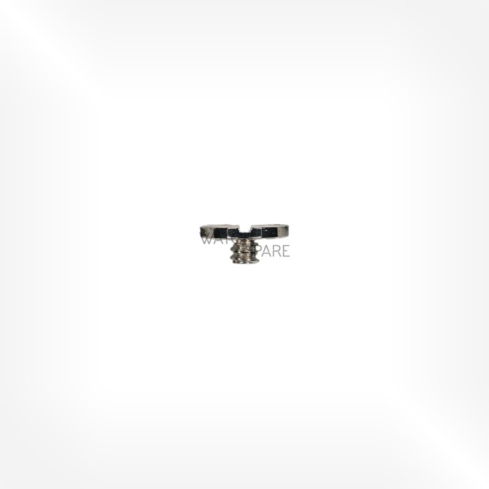 FHF Cal. 100.101 - Crown wheel screw 5420