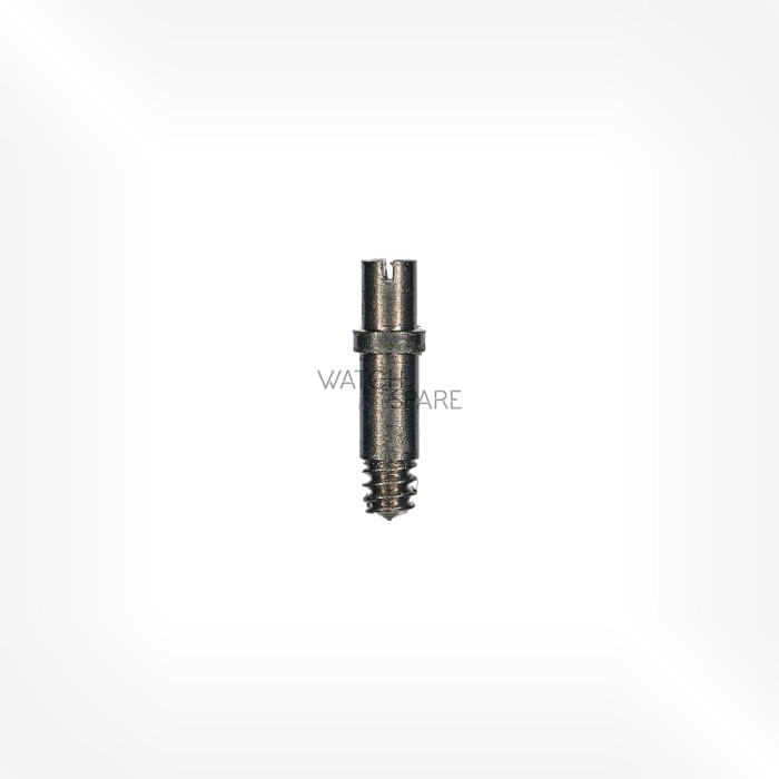 FHF Cal. 189 - Settling lever screw 5443