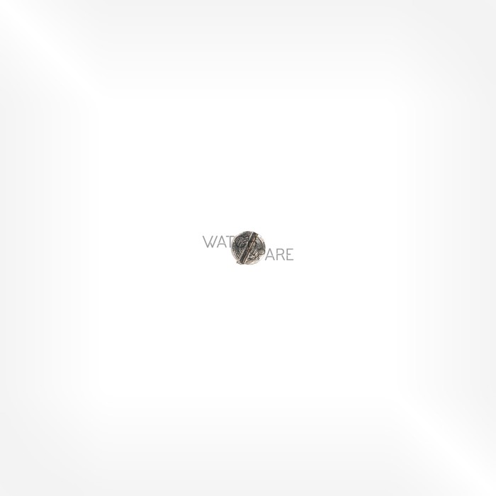 FHF Cal. 26 - Hairspring stud screw 5738