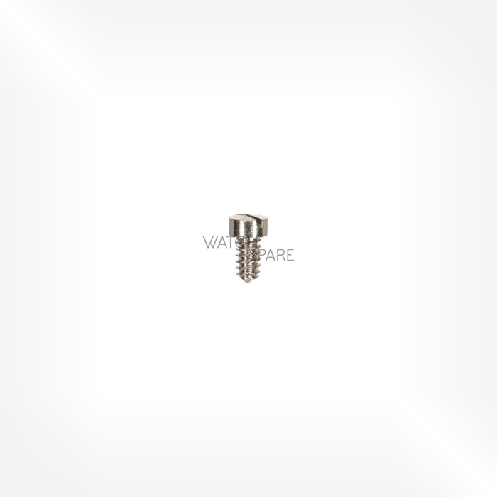 FHF Cal. 26 - Hairspring stud screw 5738