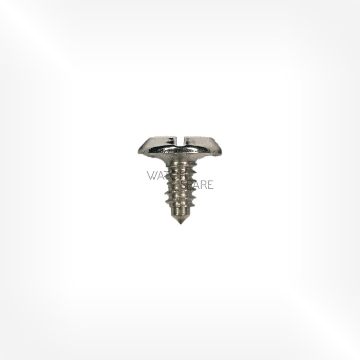 FHF Cal. 28 - Case screw 5101
