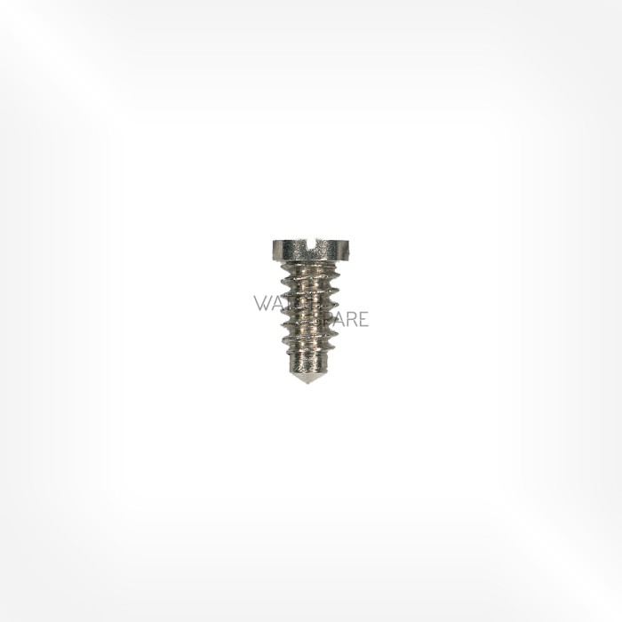 FHF Cal. 28 - Bridge screw, long 5111