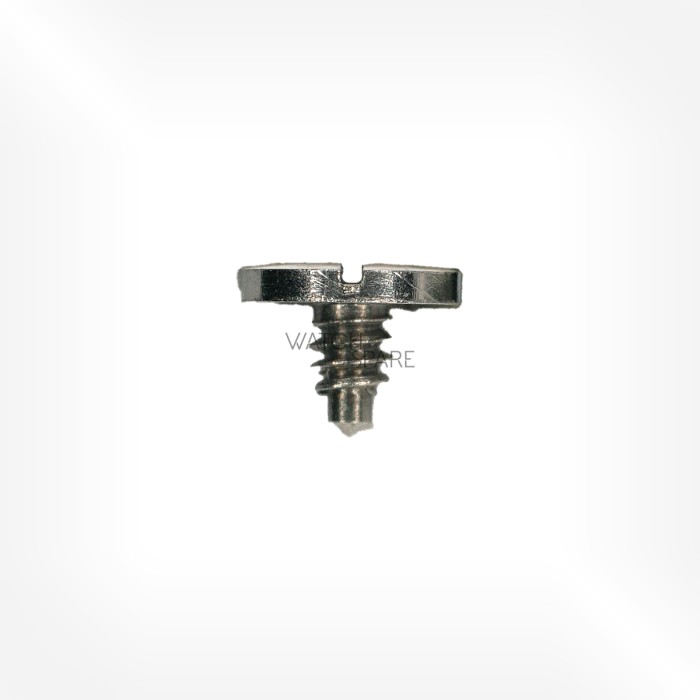 FHF Cal. 28 - Click screw 5425