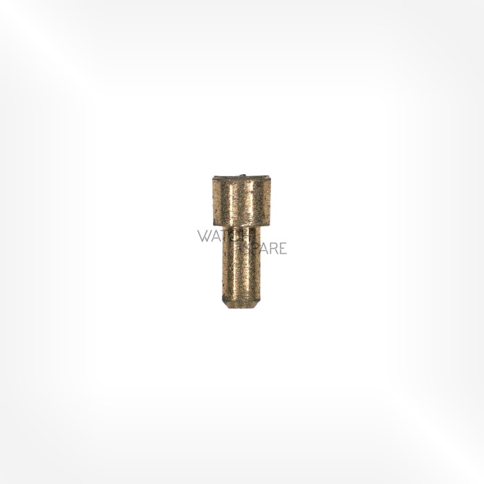 FHF Cal. 28 - Hairspring stud screw 5738
