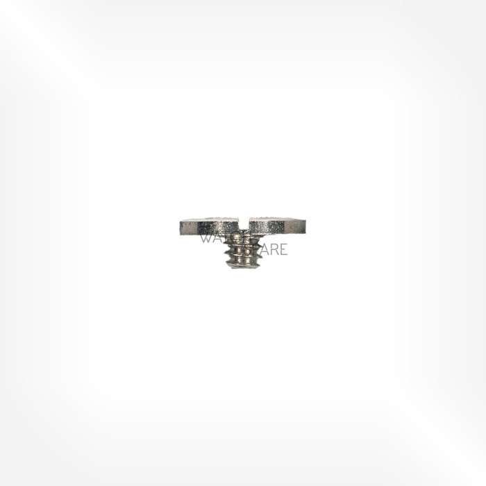 FHF Cal. 60 - Crown wheel screw 5420