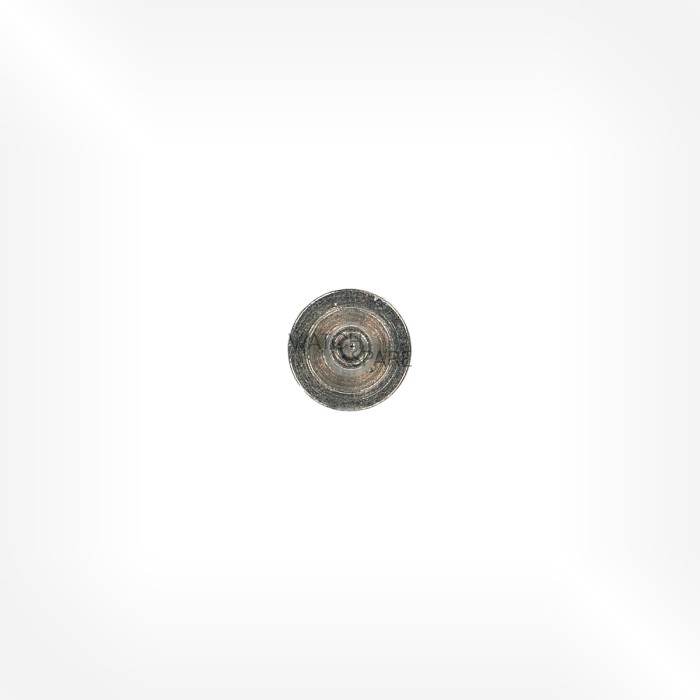FHF Cal. 60 - Balance staff, pivoted 723