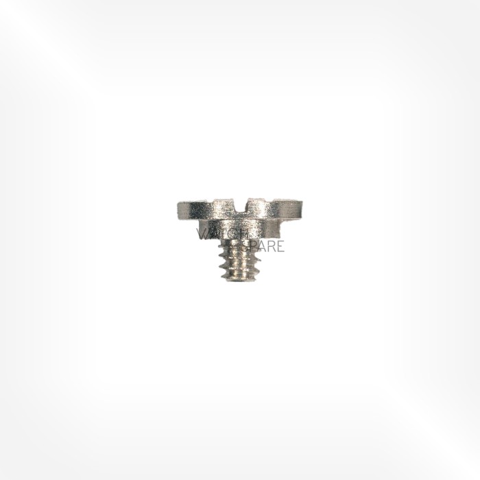FHF Cal. 62-2 - Screw for date indicator driving wheel 52556