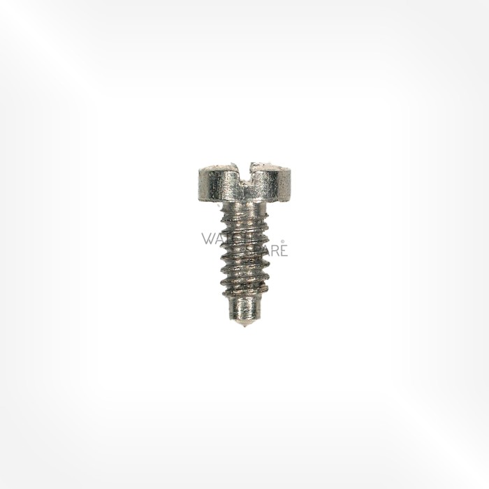 FHF Cal. 62 - Bridge screw 5105